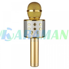 Беспроводной караоке микрофон WSTER WS-858 Bluetooth USB AUX FM Золото 