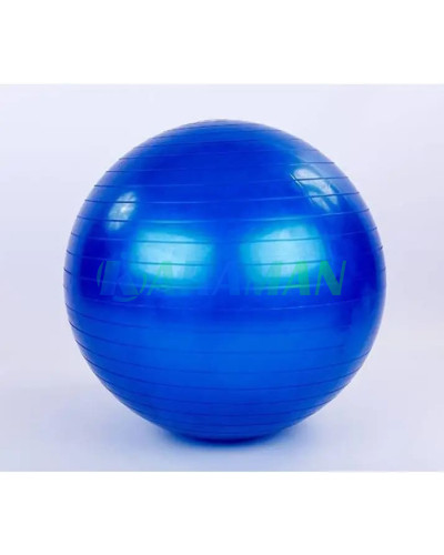 Фитбол М'яч для фітнесу (фітбол) 75 см Rising Anti Burst Gym Ball (1ящ = 40шт.)