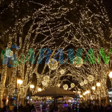Вулична гірлянда 800 LED діодів 50 метрів (теплий колір, зелений провід) 800lwarmwhite (1ящ.=24шт.)